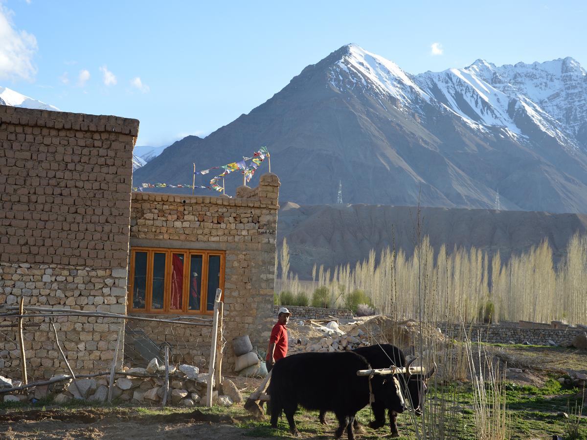 Hotel Nimmu House Ladakh Nimu Exteriér fotografie