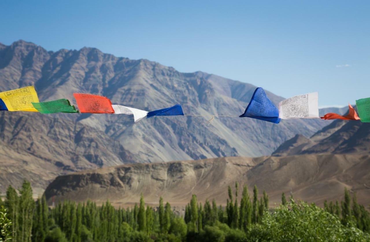 Hotel Nimmu House Ladakh Nimu Exteriér fotografie