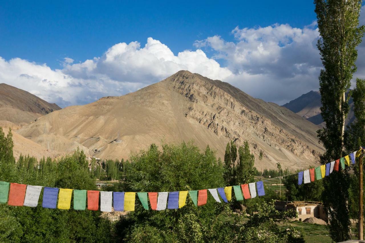 Hotel Nimmu House Ladakh Nimu Exteriér fotografie